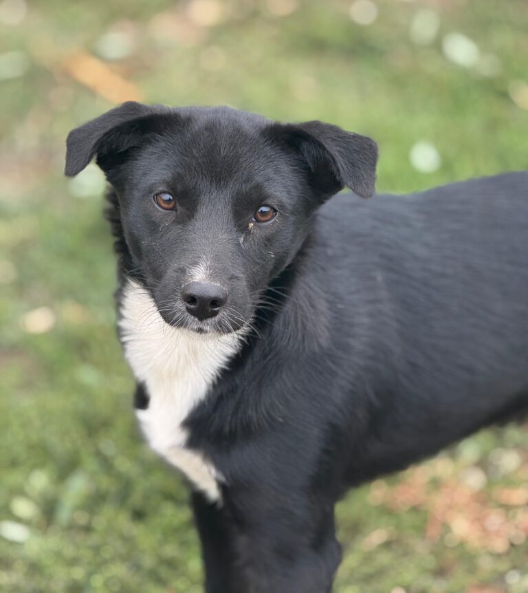 1eb2832d-25e2-4bcb-b821-8a5f285ccf23