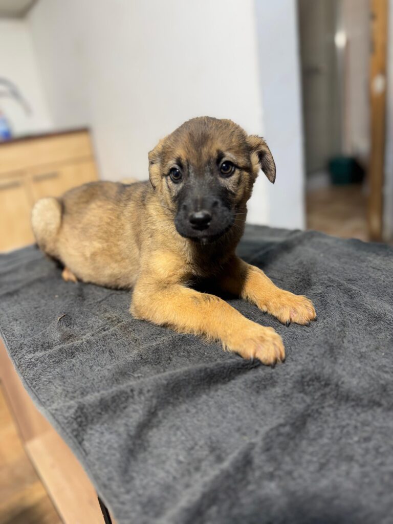 2750c462-e8e4-4a4c-afae-47cbac1da252