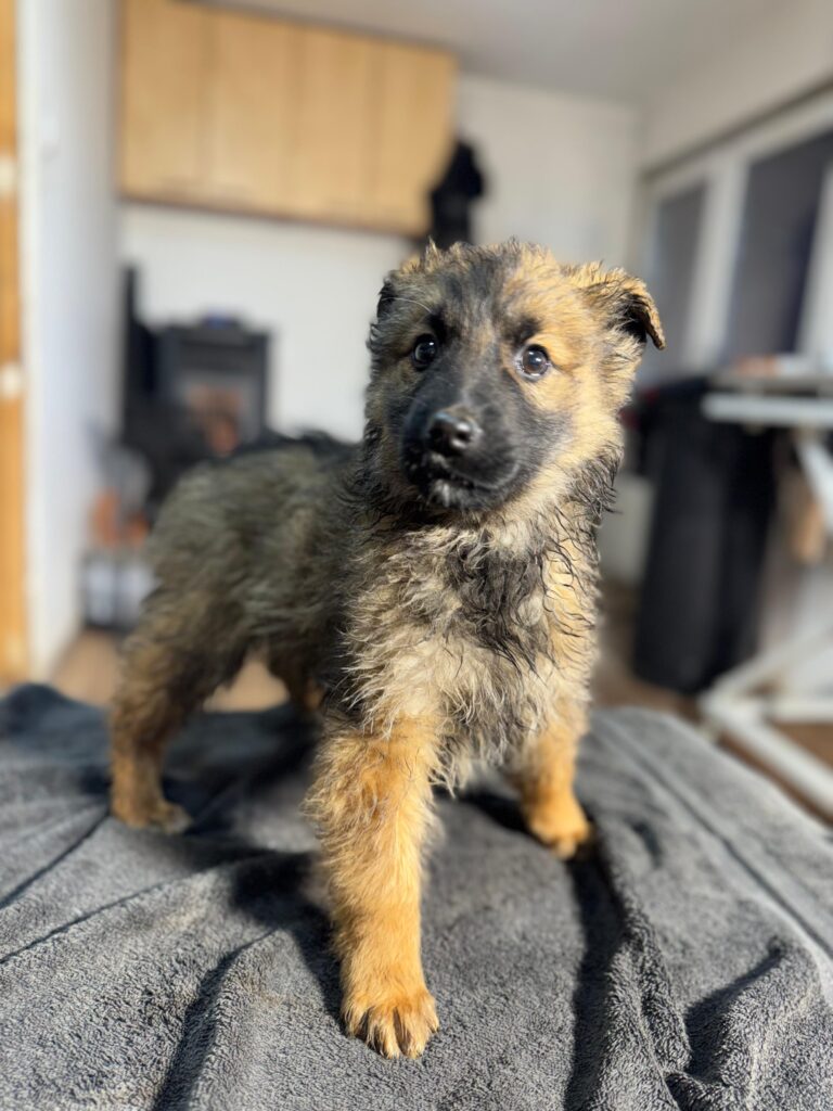 2fcb8854-ce3e-4d35-a416-9ce7a43d6faa