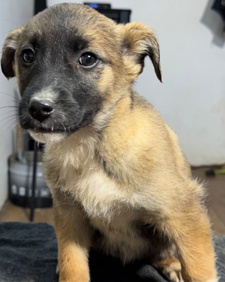 4a5e4e8b-1c16-4d8d-ac71-8ceb2113c073