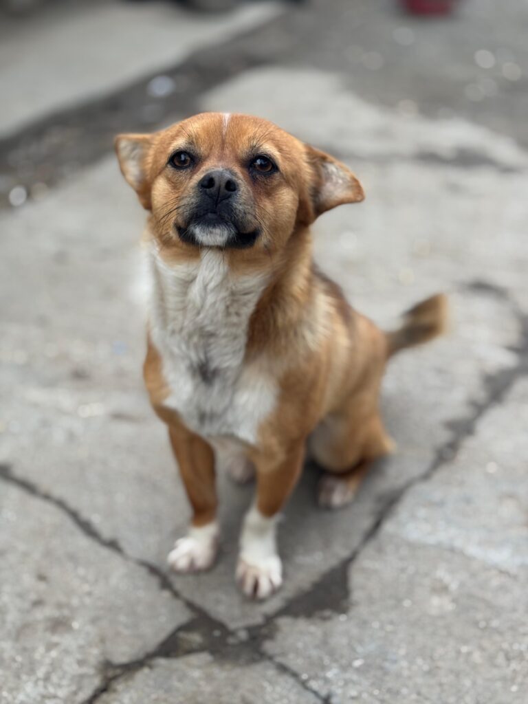 5b9d3b58-89c0-4a90-8a0b-38a568669d16