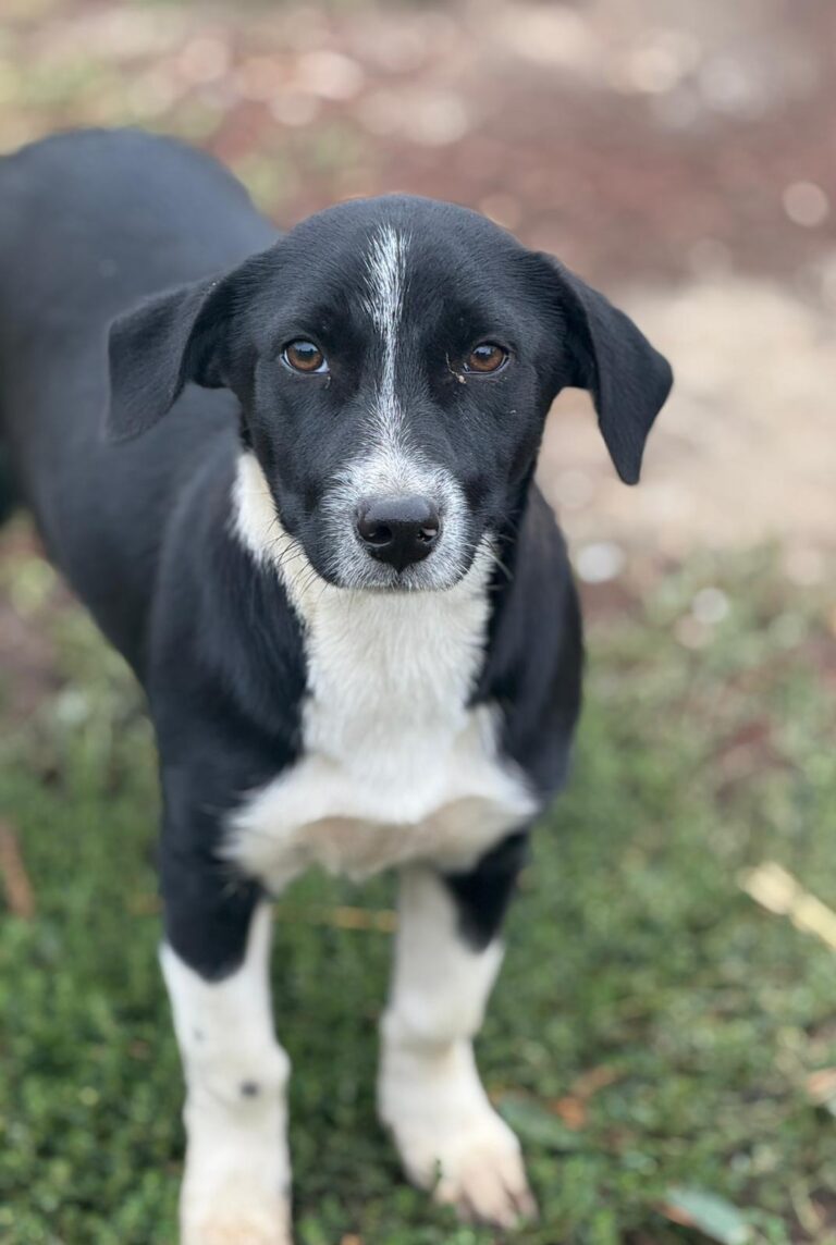 81ea3103-e5ce-4de5-b109-6921e1235b09