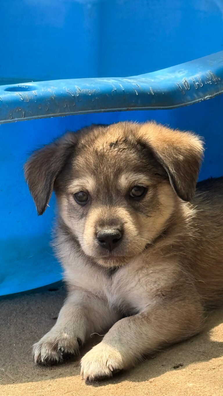 9a3ed83c-ace9-4e28-961a-16ae5843299c