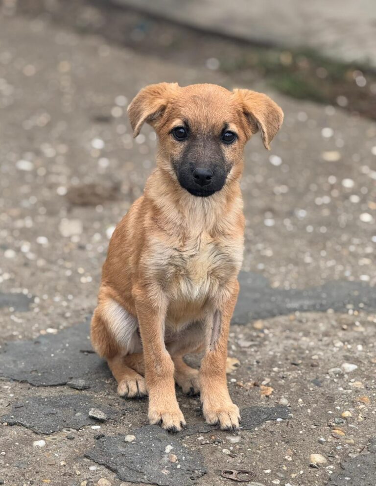 be2f0454-afb8-4b69-aabf-18af4b2b301b