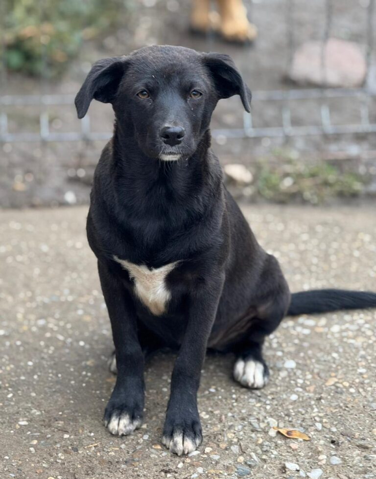 ca95a991-1c0f-43af-81a0-20dd1ca75e47