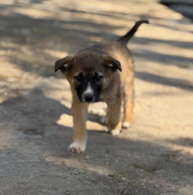 d7de0dd8-cb27-49bf-b98f-bf17640b52f5