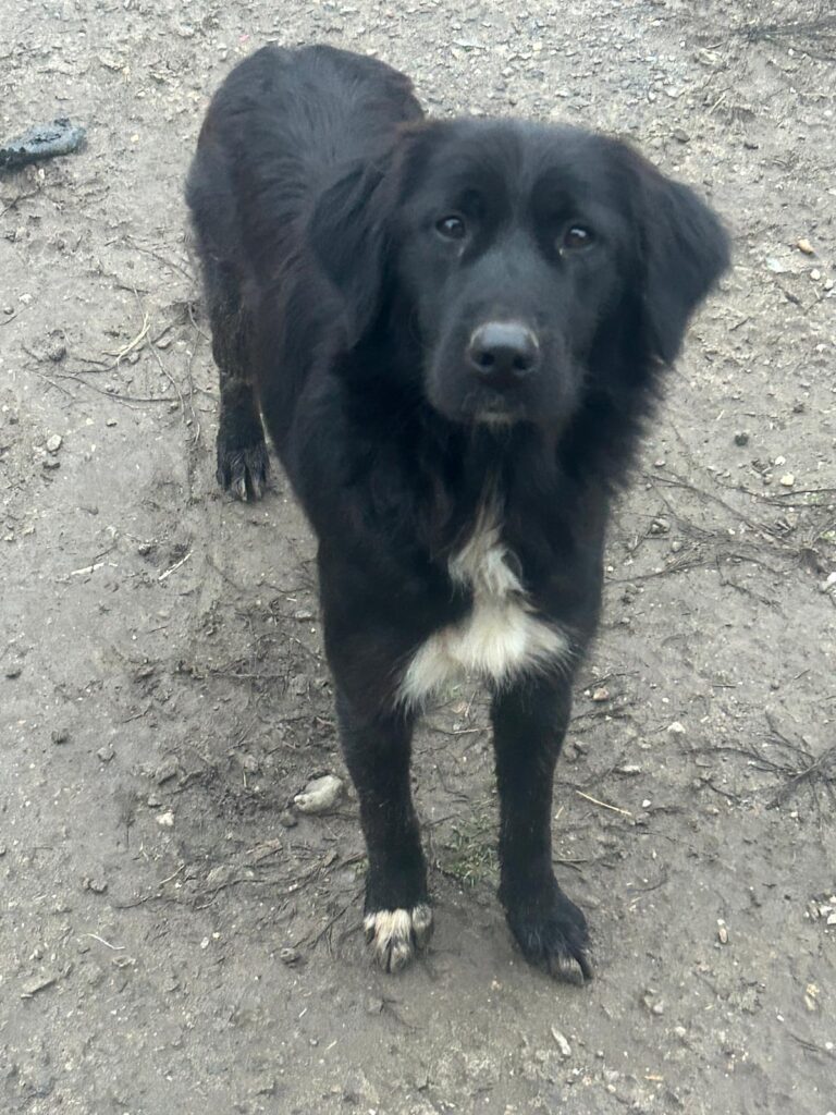 df4ae9e7-6cab-4c38-b9f6-6b4d19a76cda